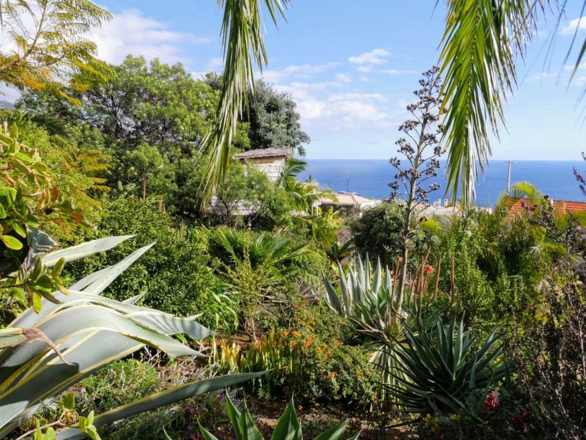Casas Serenas Estreito Da Calheta Eksteriør billede