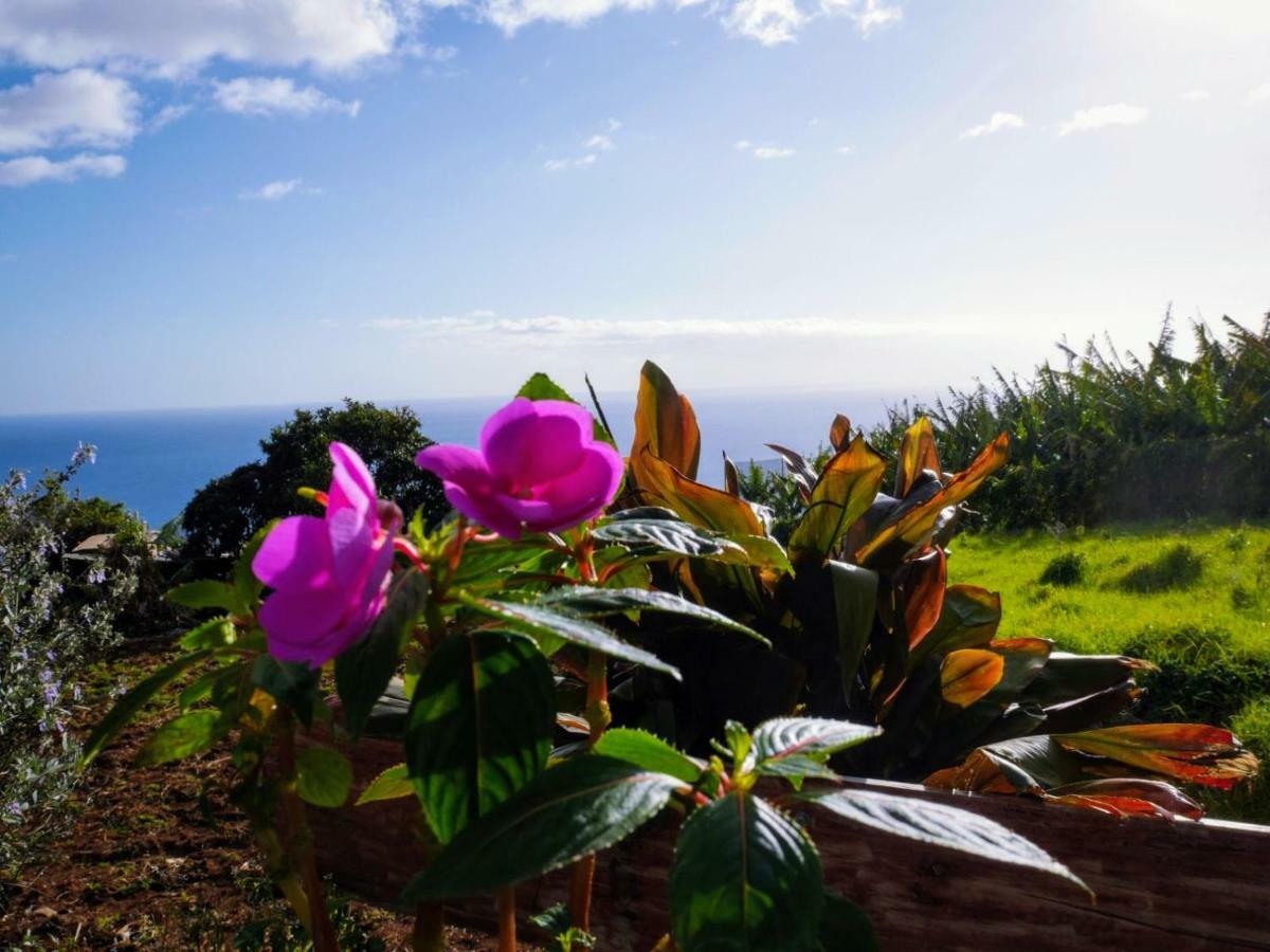 Casas Serenas Estreito Da Calheta Eksteriør billede